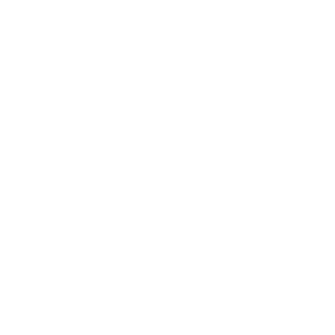Silicon Power 廣穎電通 品牌標誌