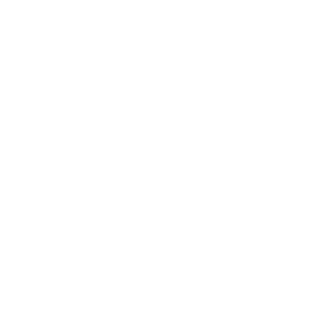 海霸王 品牌標誌